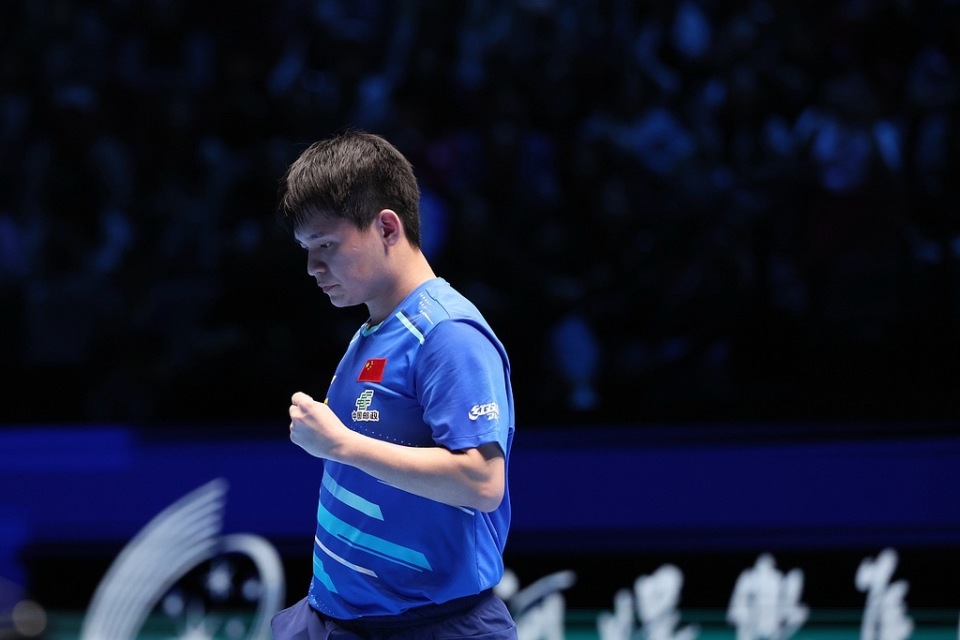 显示了组织 显示了组织