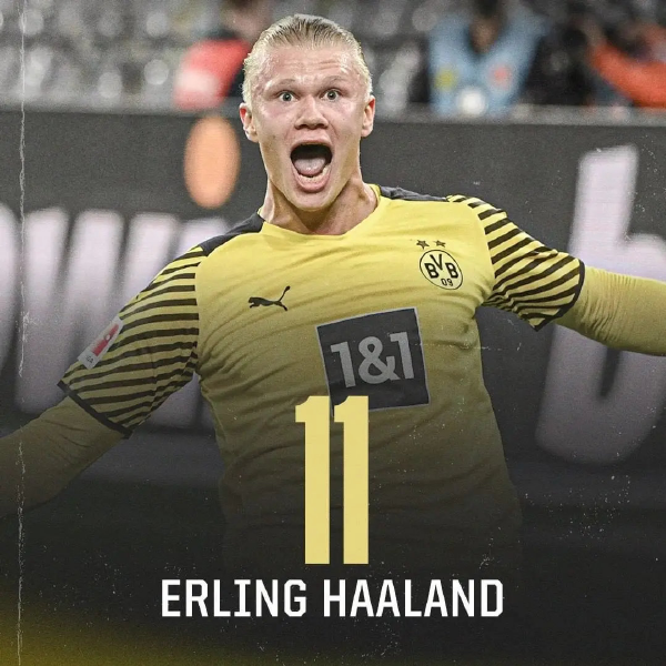 数据与视频 数据与视频