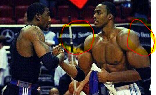 后场篮板将 后场篮板将